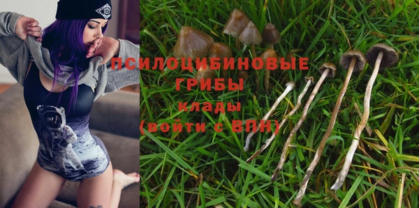 тгк Нефтекумск