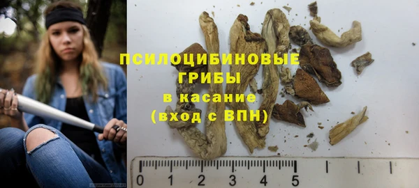 тгк Нефтекумск