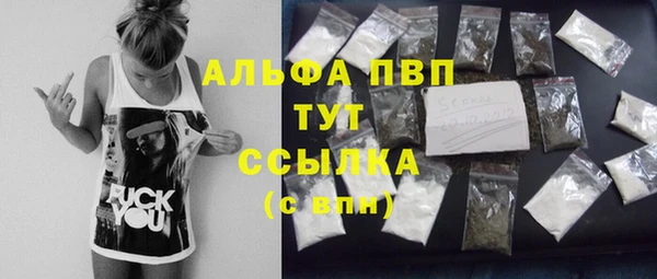 стаф Нефтегорск