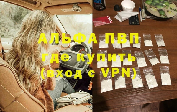 стаф Нефтегорск