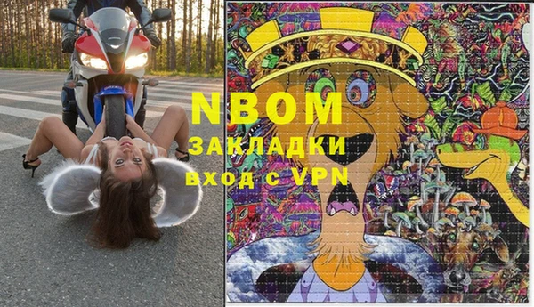 стаф Нефтегорск