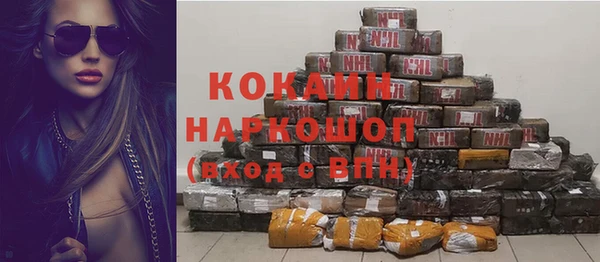 стаф Нефтегорск