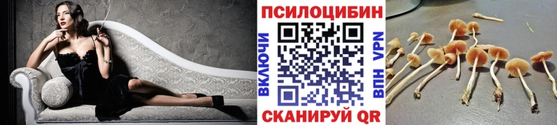 Галлюциногенные грибы Cubensis  дарк нет Telegram  Павловск 